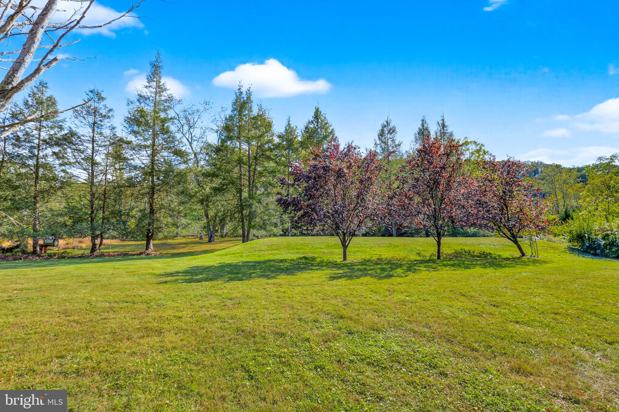 1314 BRIDGE ROAD