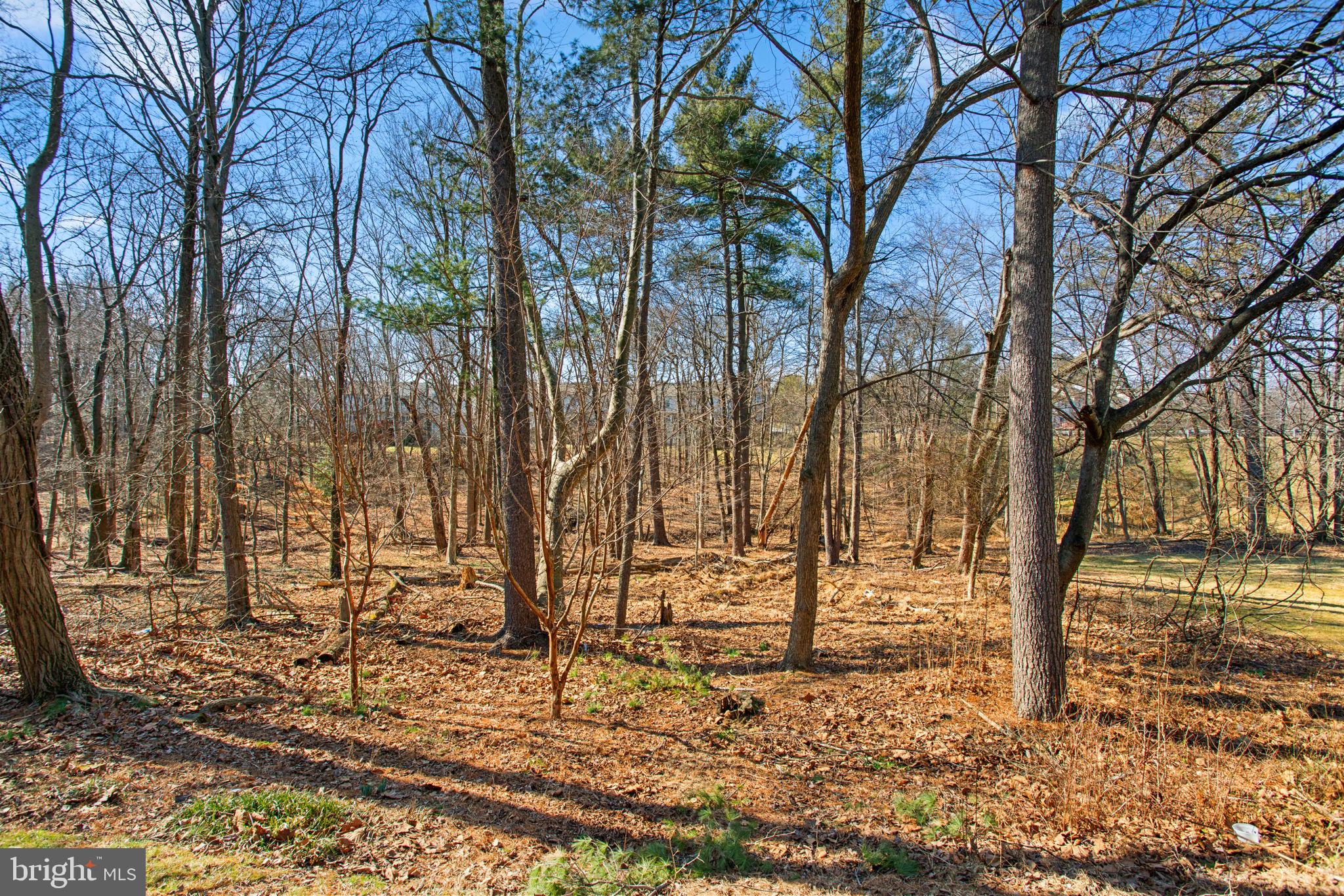 BRIGHTFIELD - Residential