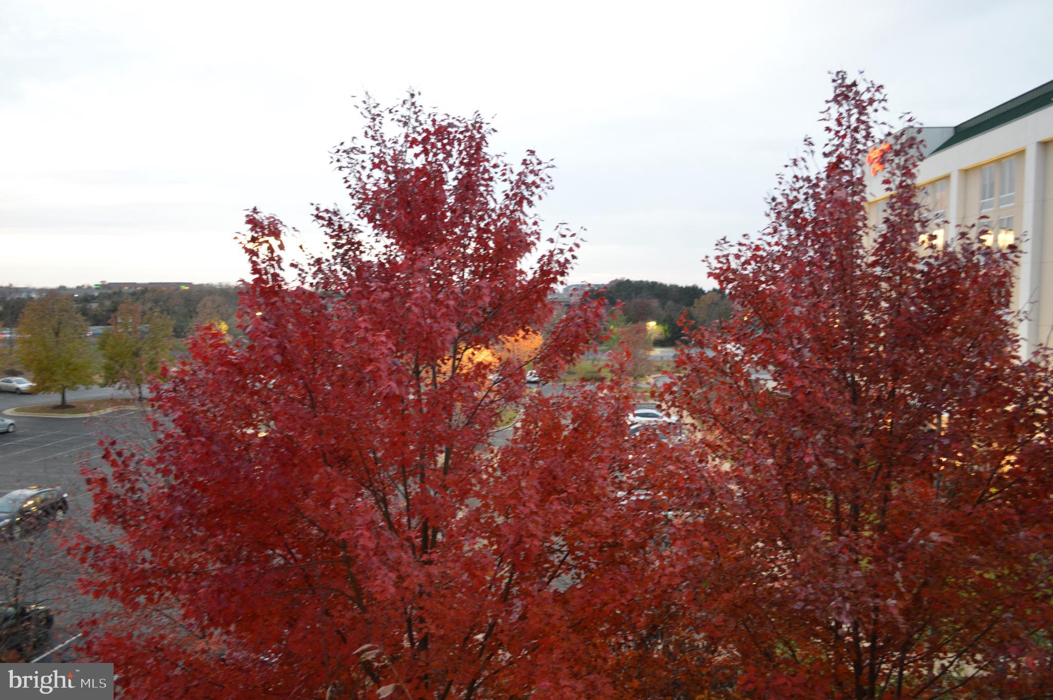 CASCADES - Residential