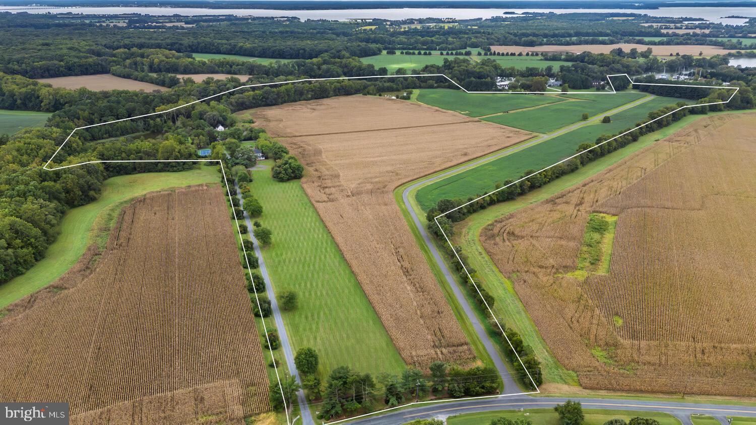 NONE AVAILABLE - Farm