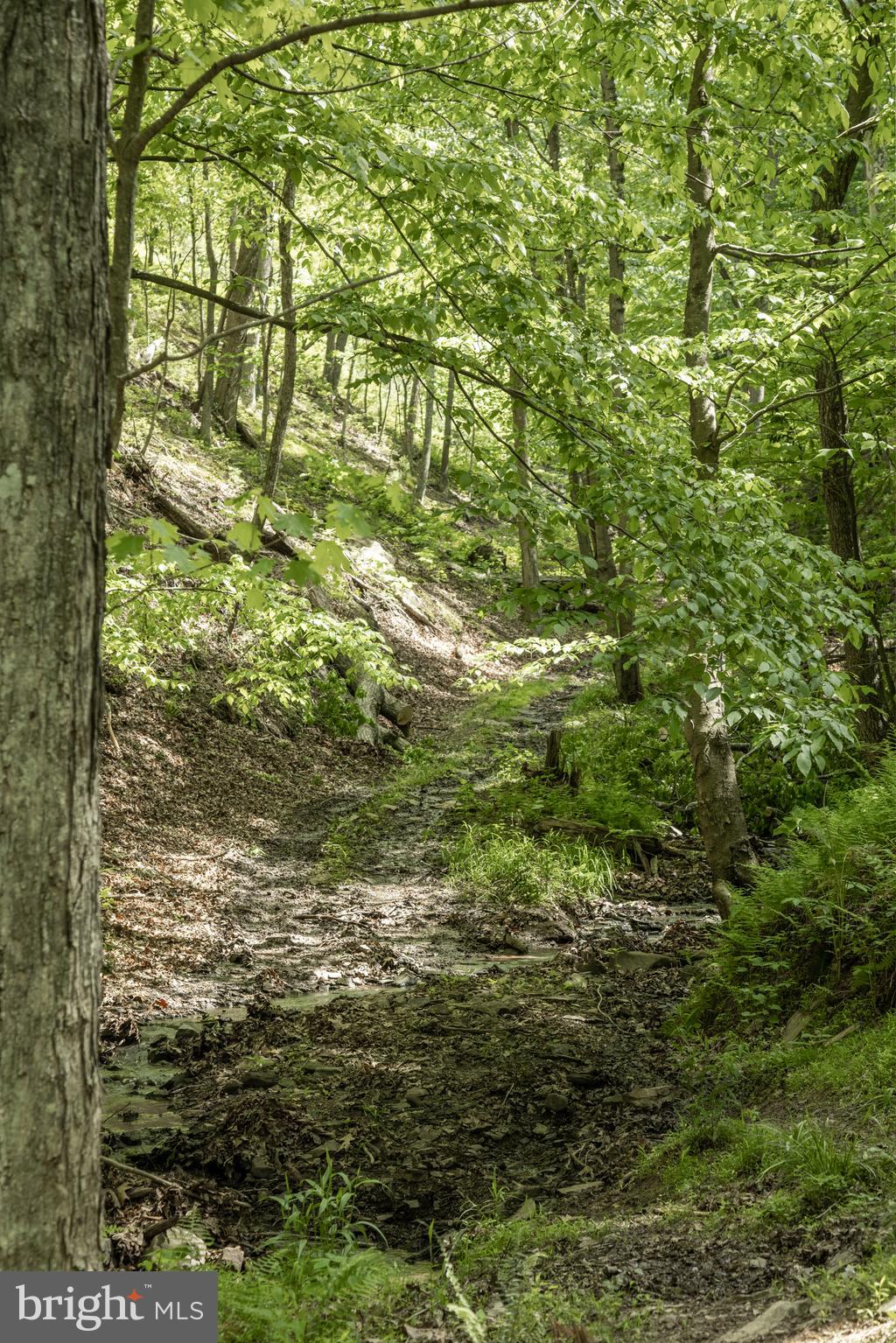 ASHTON WOODS - Residential