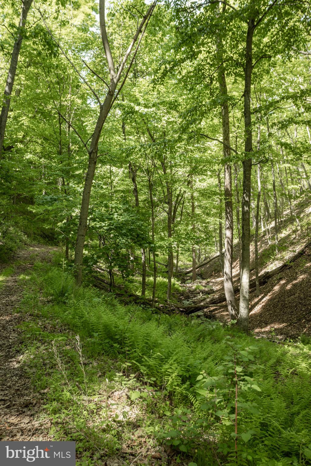 ASHTON WOODS - Residential