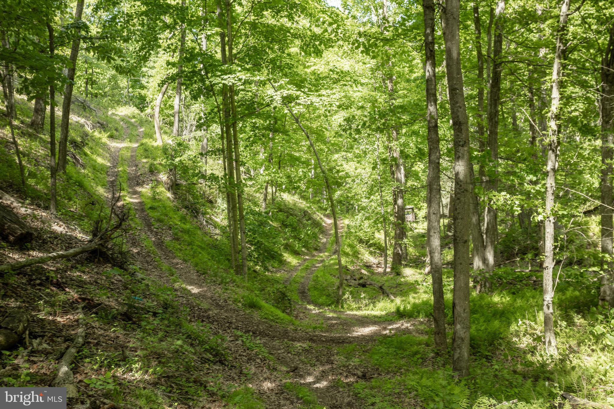 ASHTON WOODS - Residential