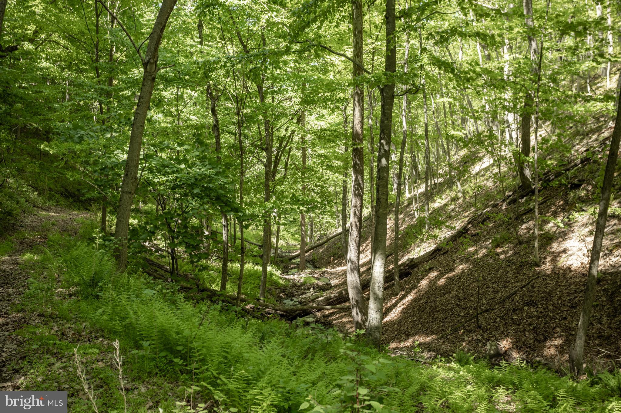 ASHTON WOODS - Residential