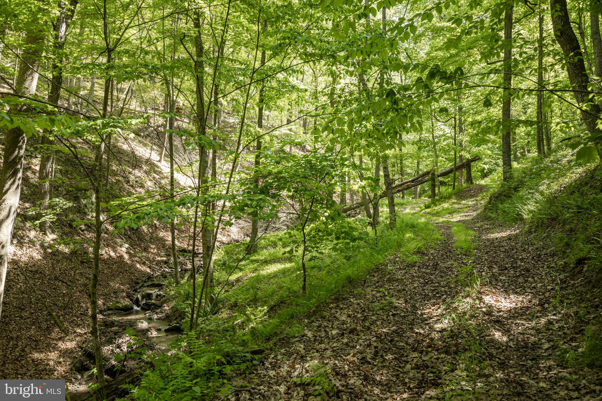 ASHTON WOODS - Residential