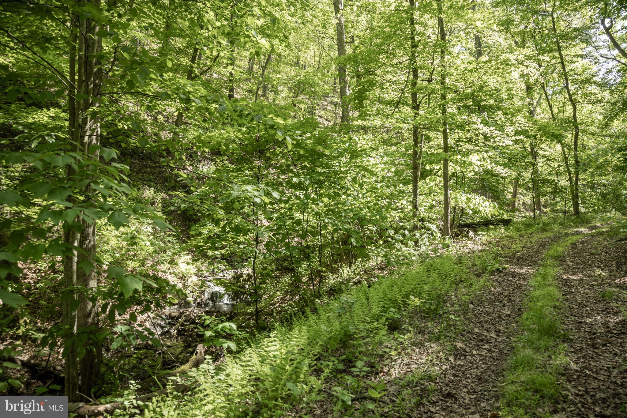 ASHTON WOODS - Residential