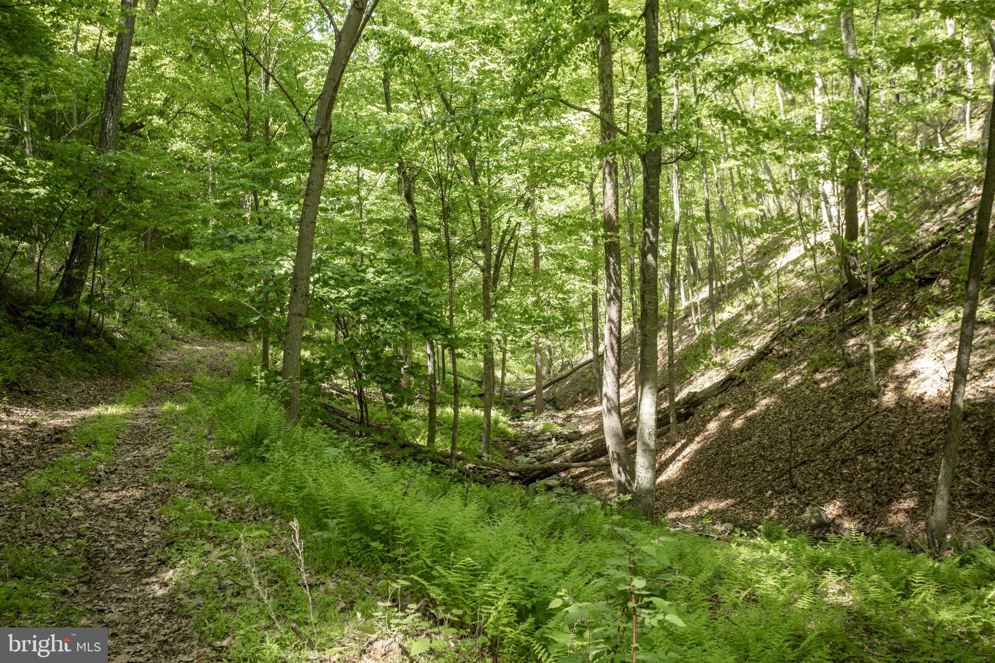 ASHTON WOODS - Residential