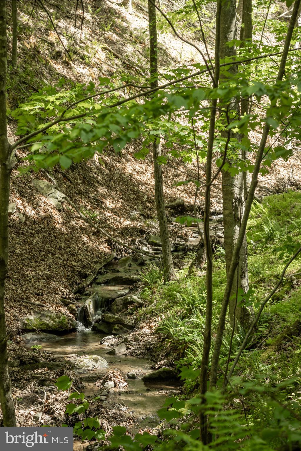 ASHTON WOODS - Residential