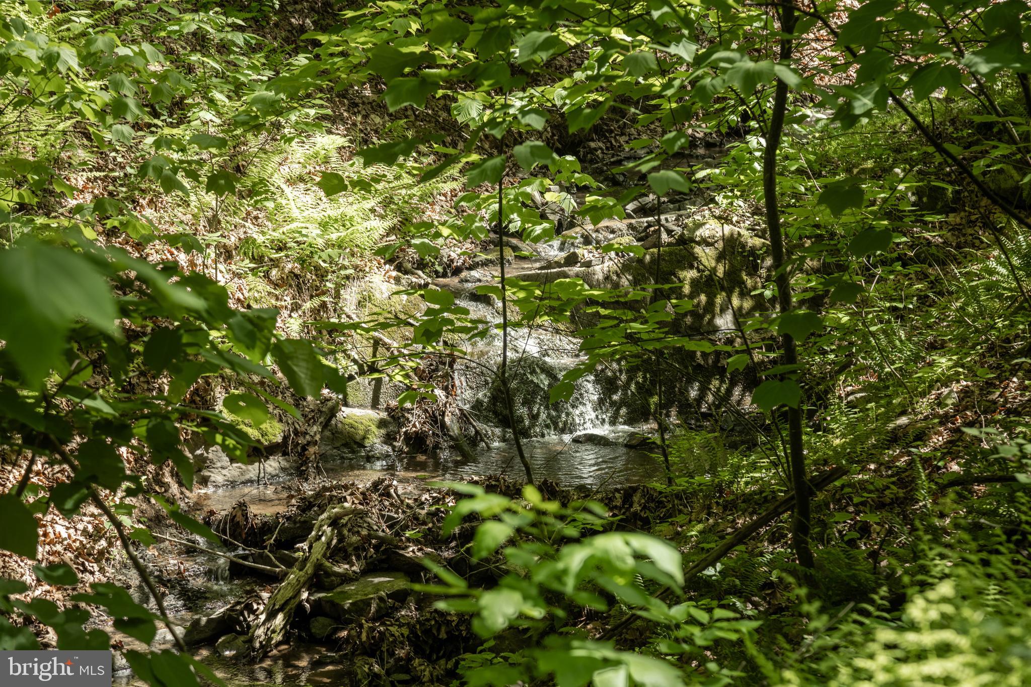 ASHTON WOODS - Residential