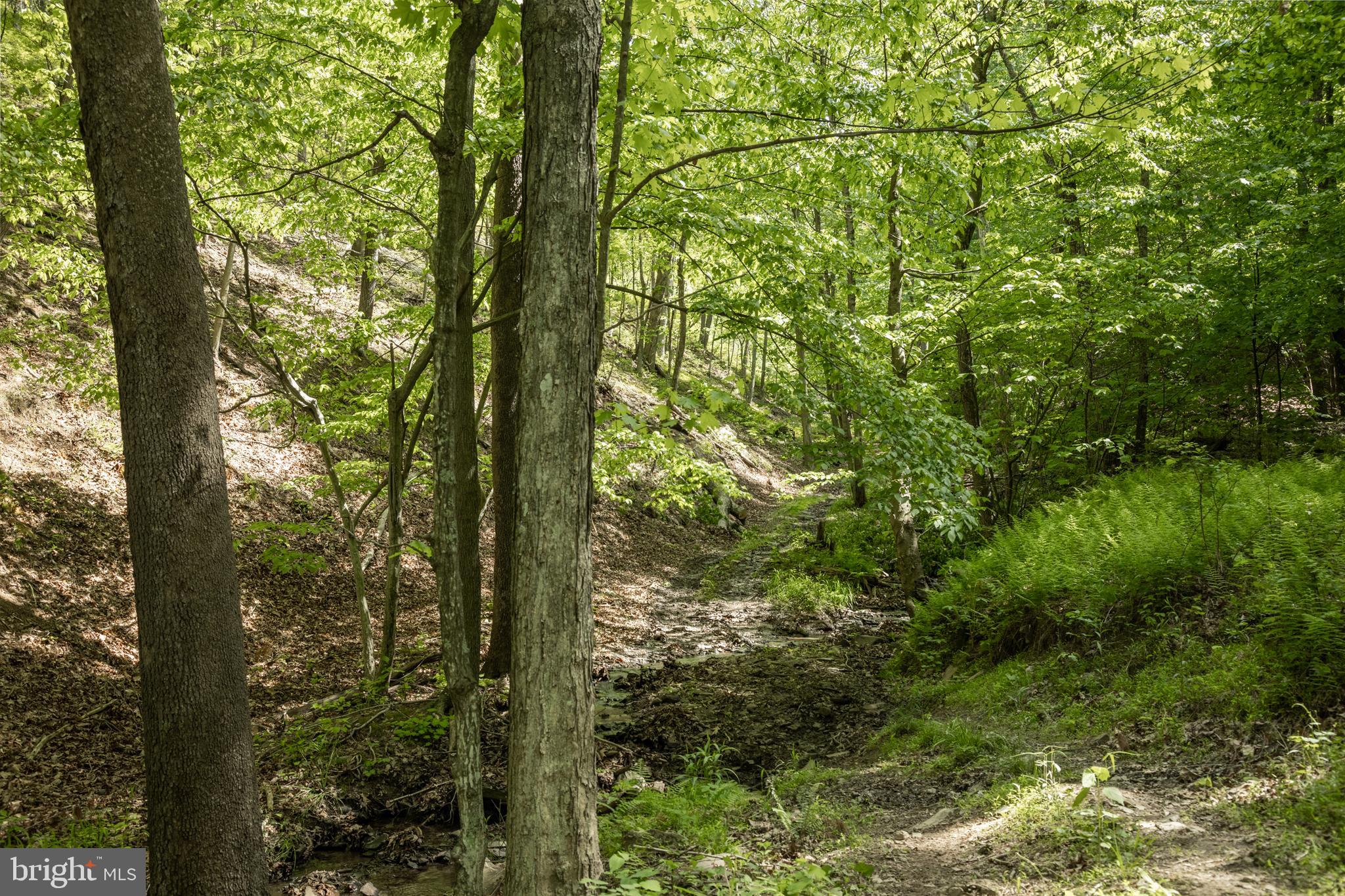 ASHTON WOODS - Residential