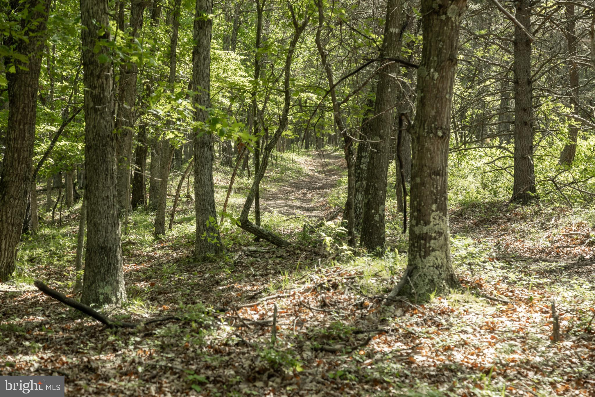 ASHTON WOODS - Residential