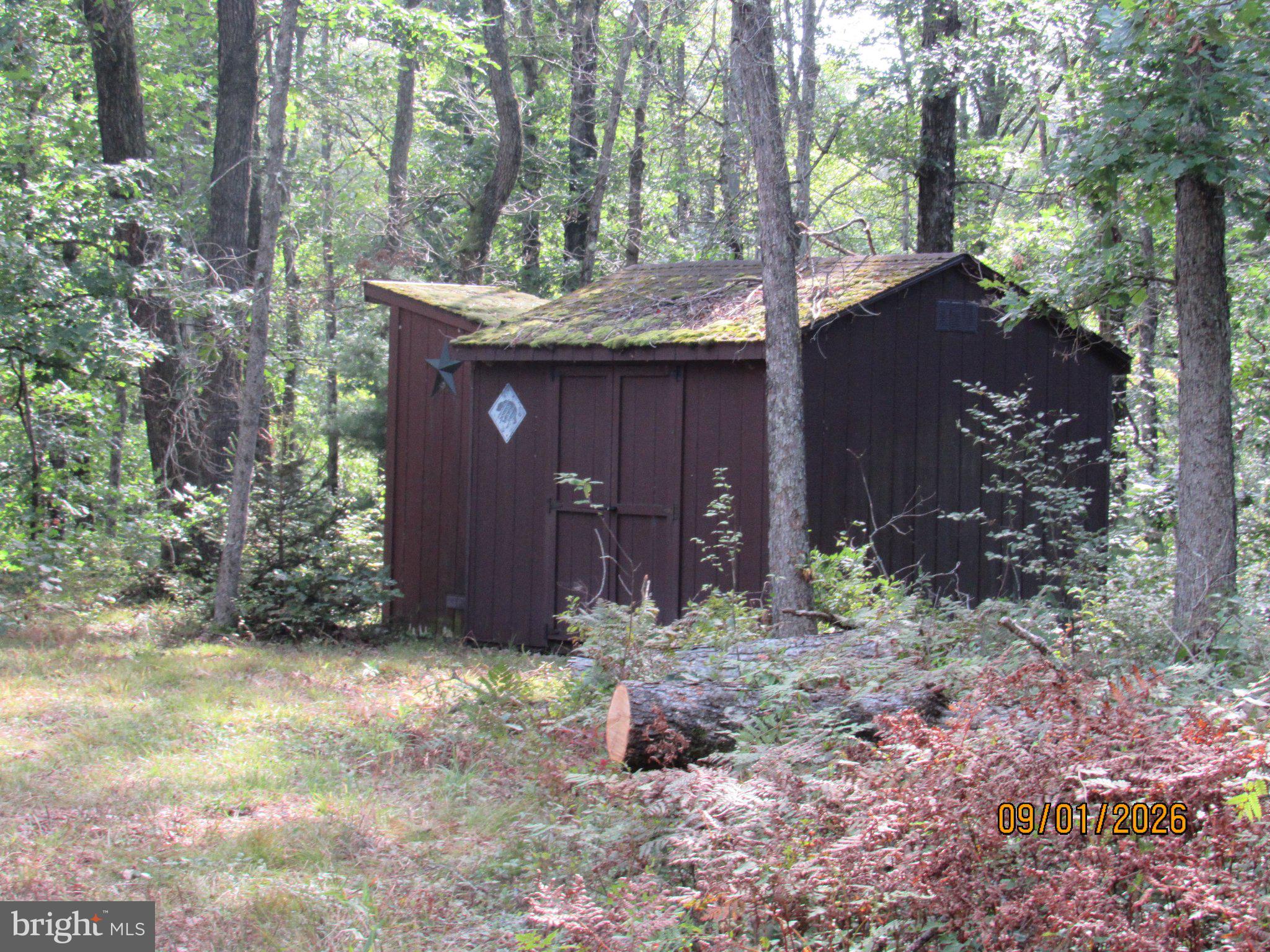 246 LITTLE WOLF ROAD