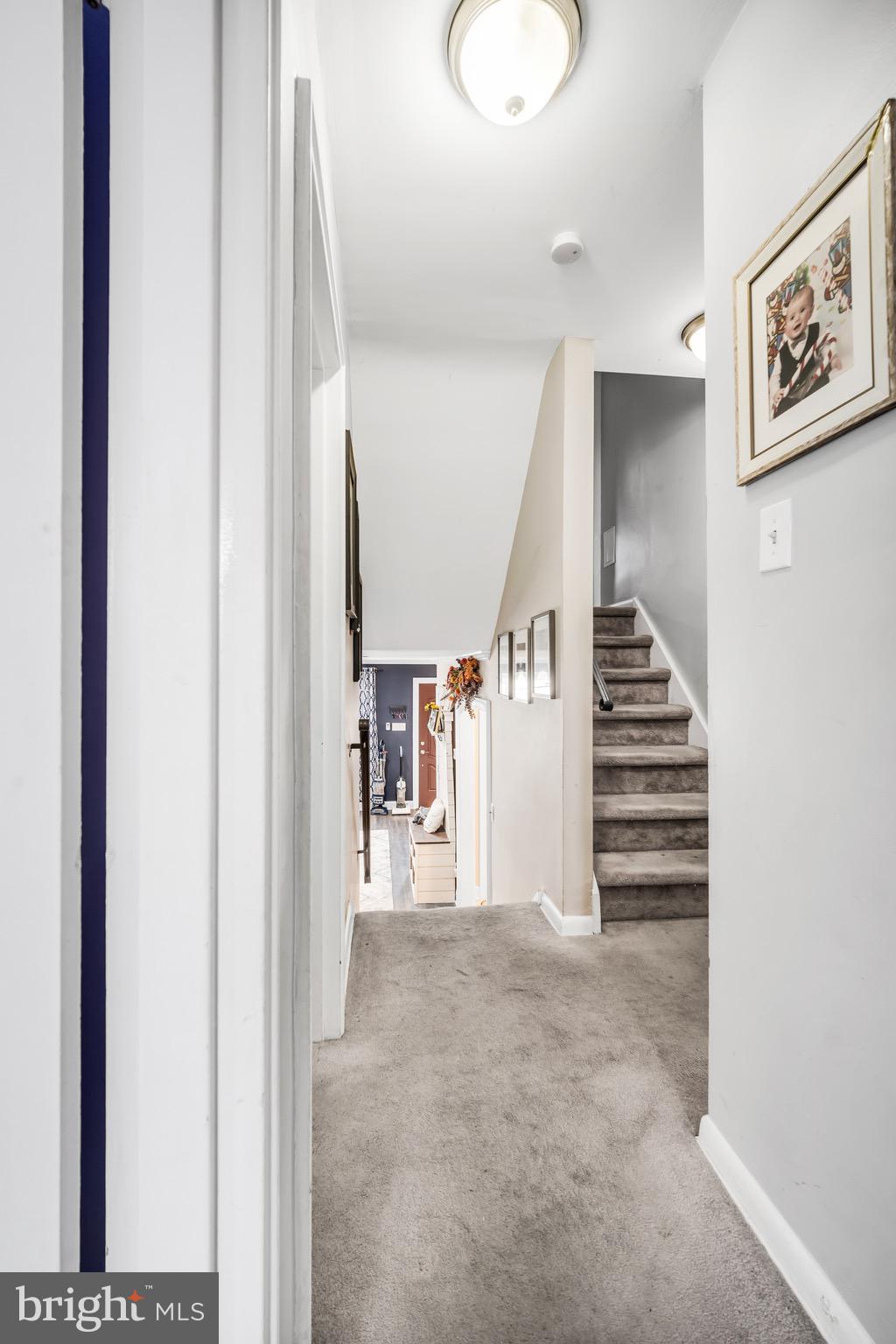 WILLOW GROVE - Residential