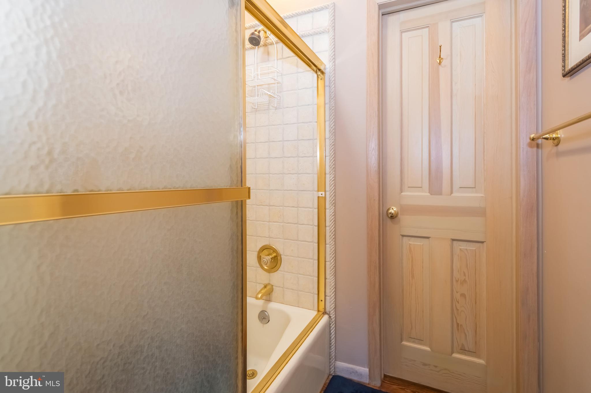 WATERSIDE AT WISP - Residential