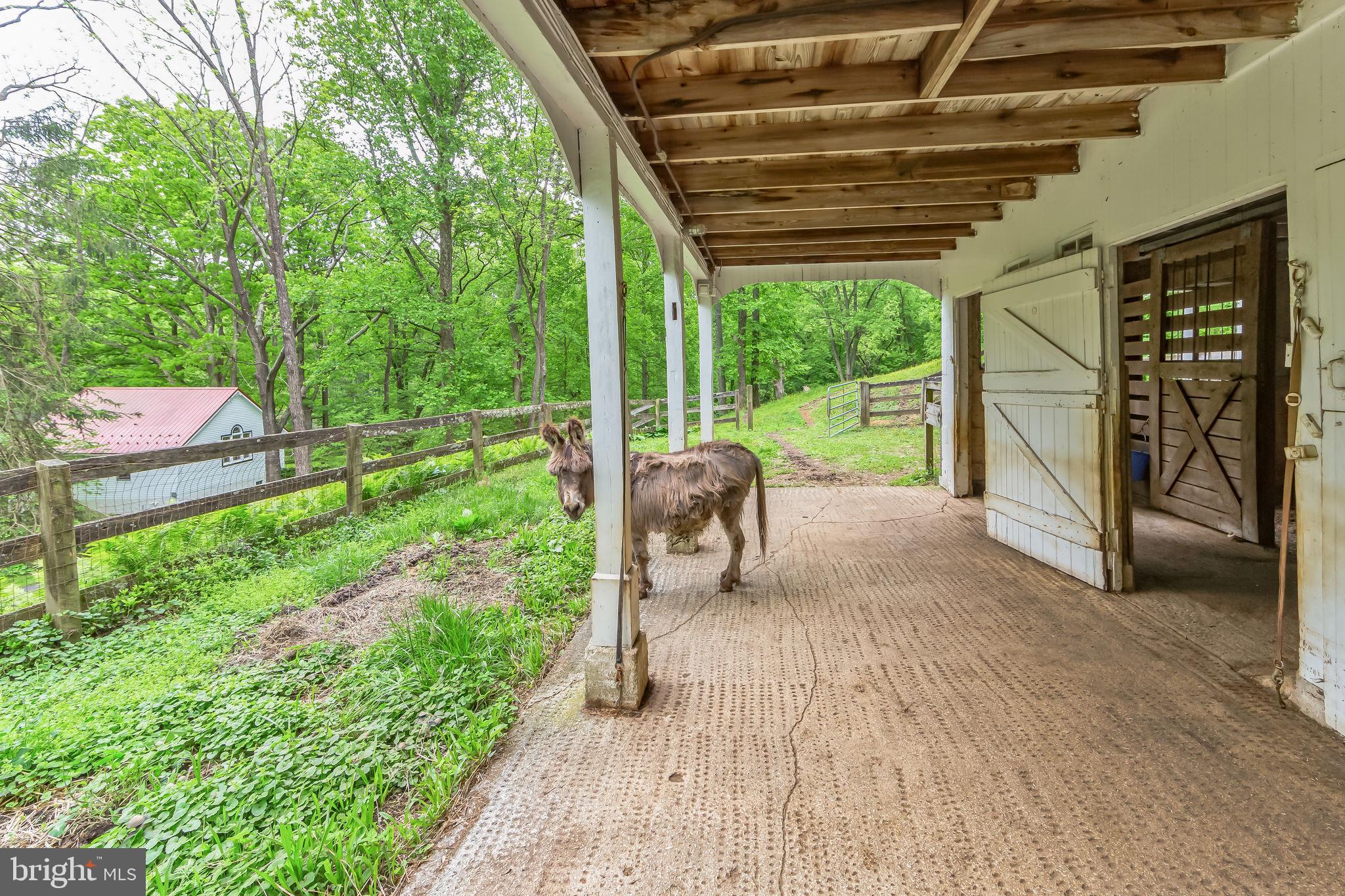 BIRCH RUN - Residential