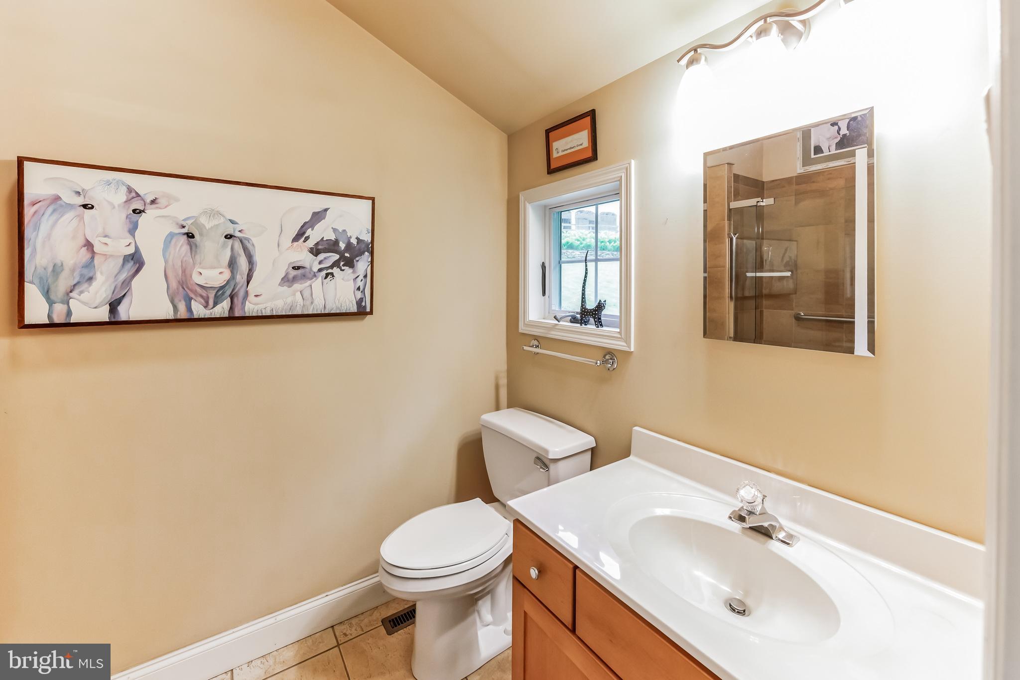 BIRCH RUN - Residential