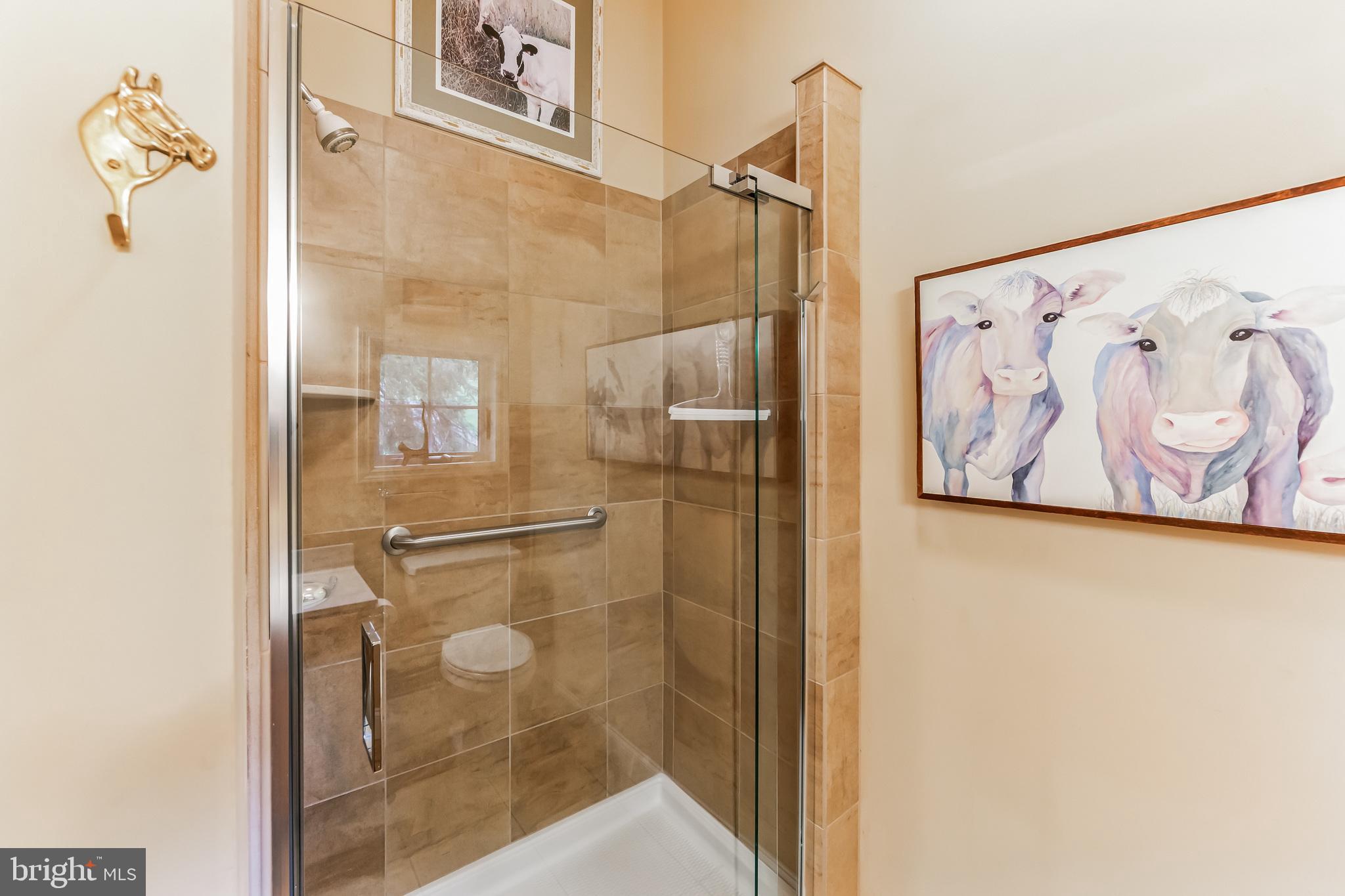 BIRCH RUN - Residential