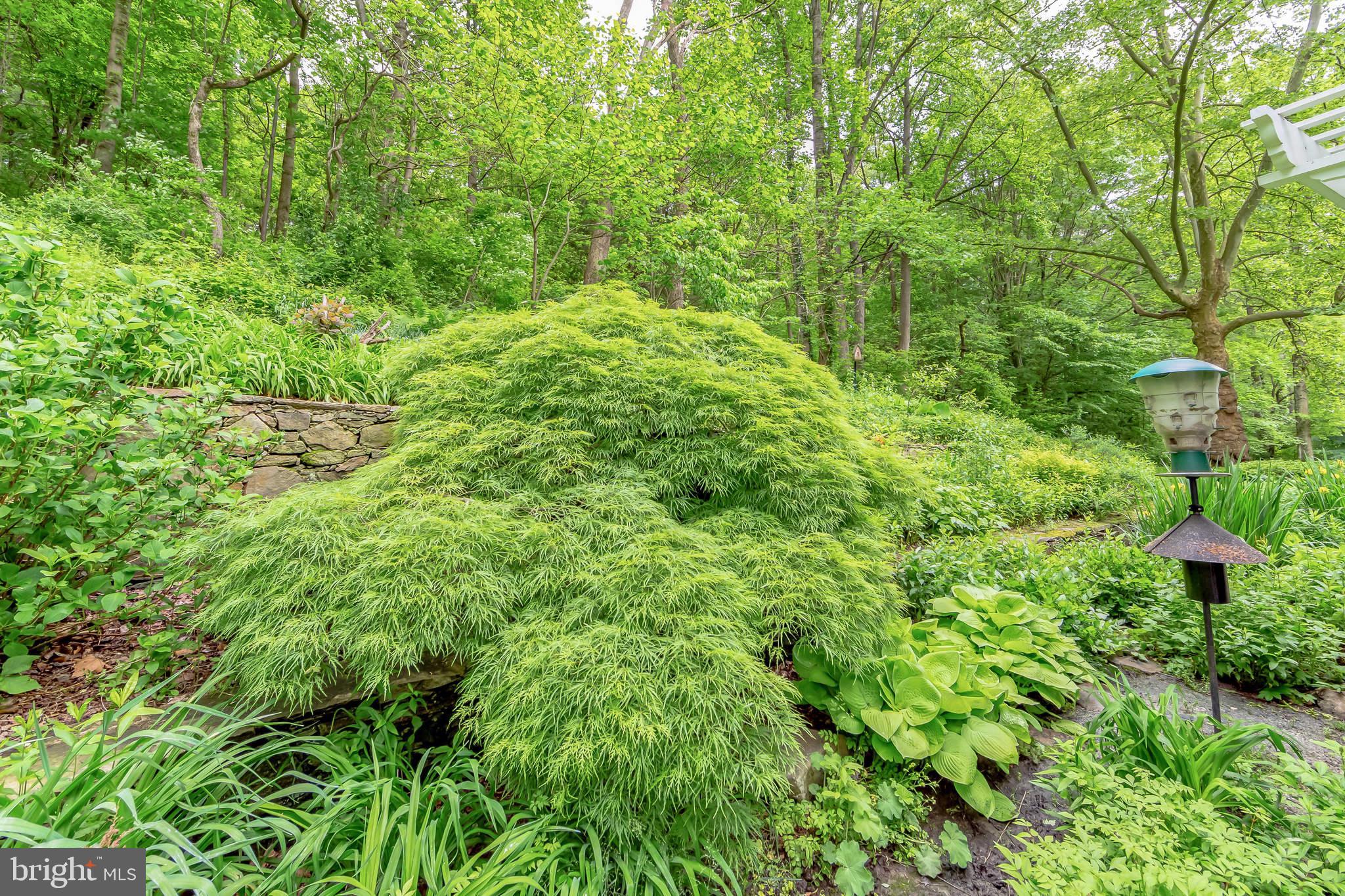 BIRCH RUN - Residential