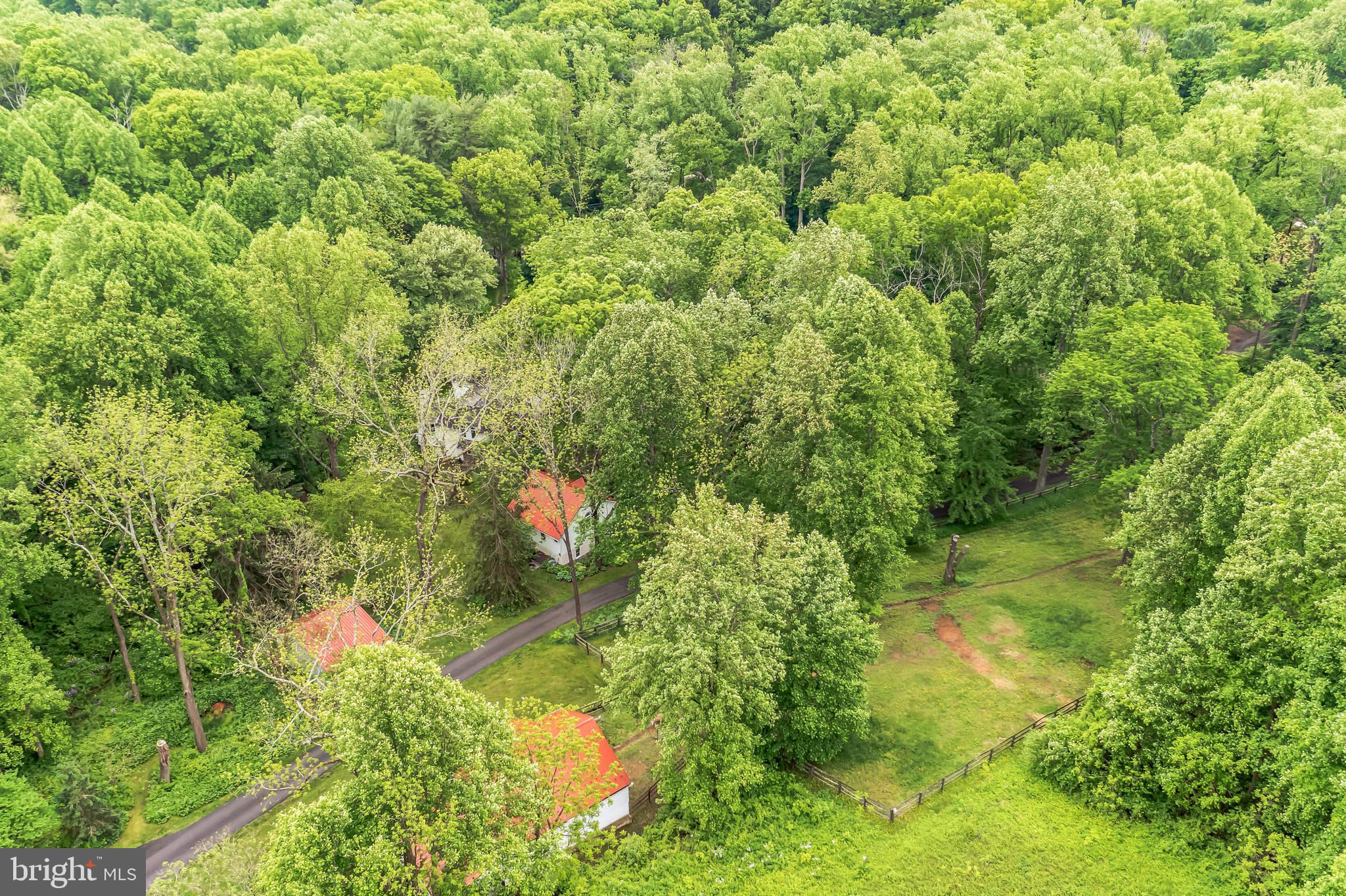 BIRCH RUN - Residential