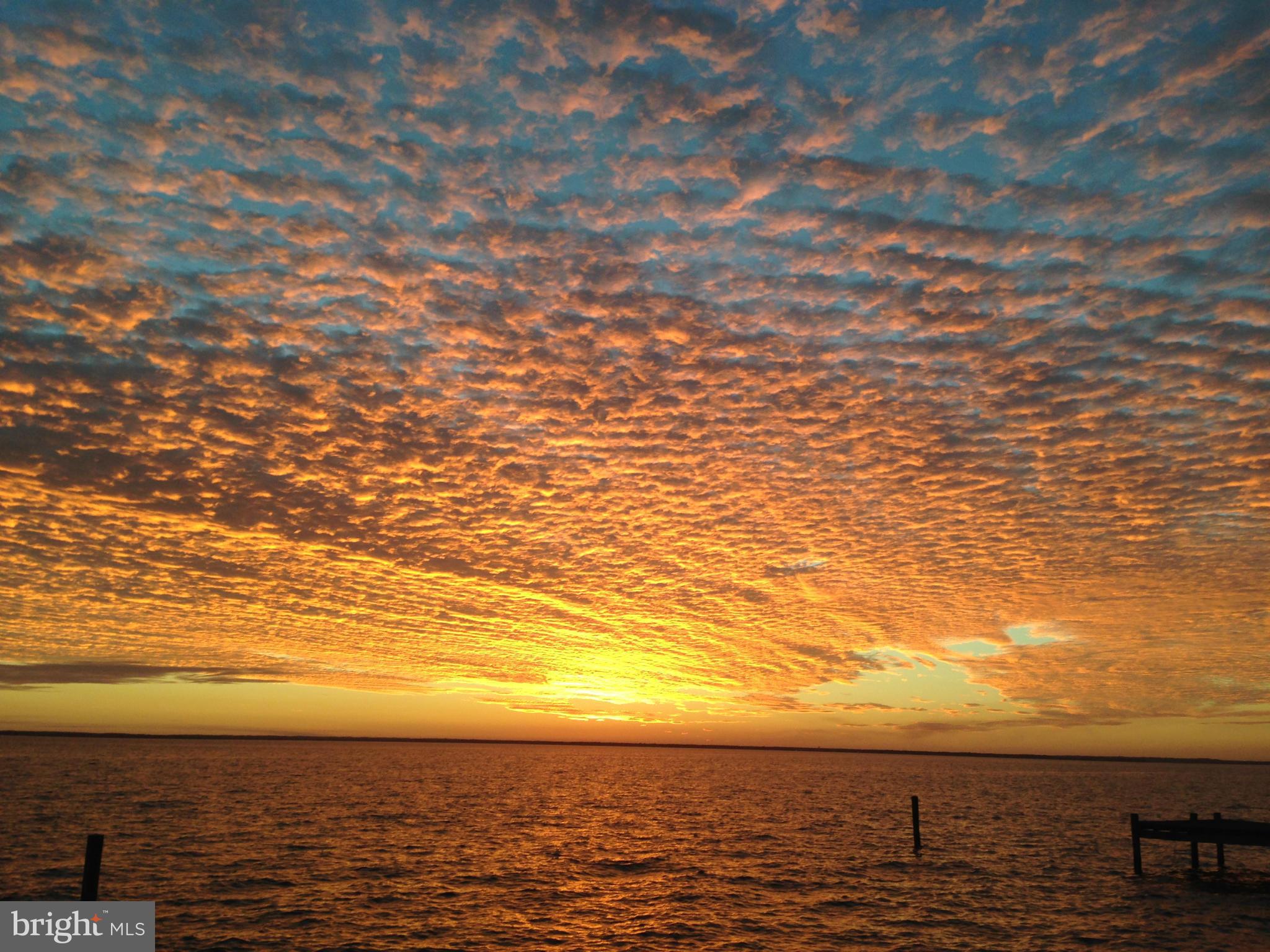 COBB ISLAND - Residential