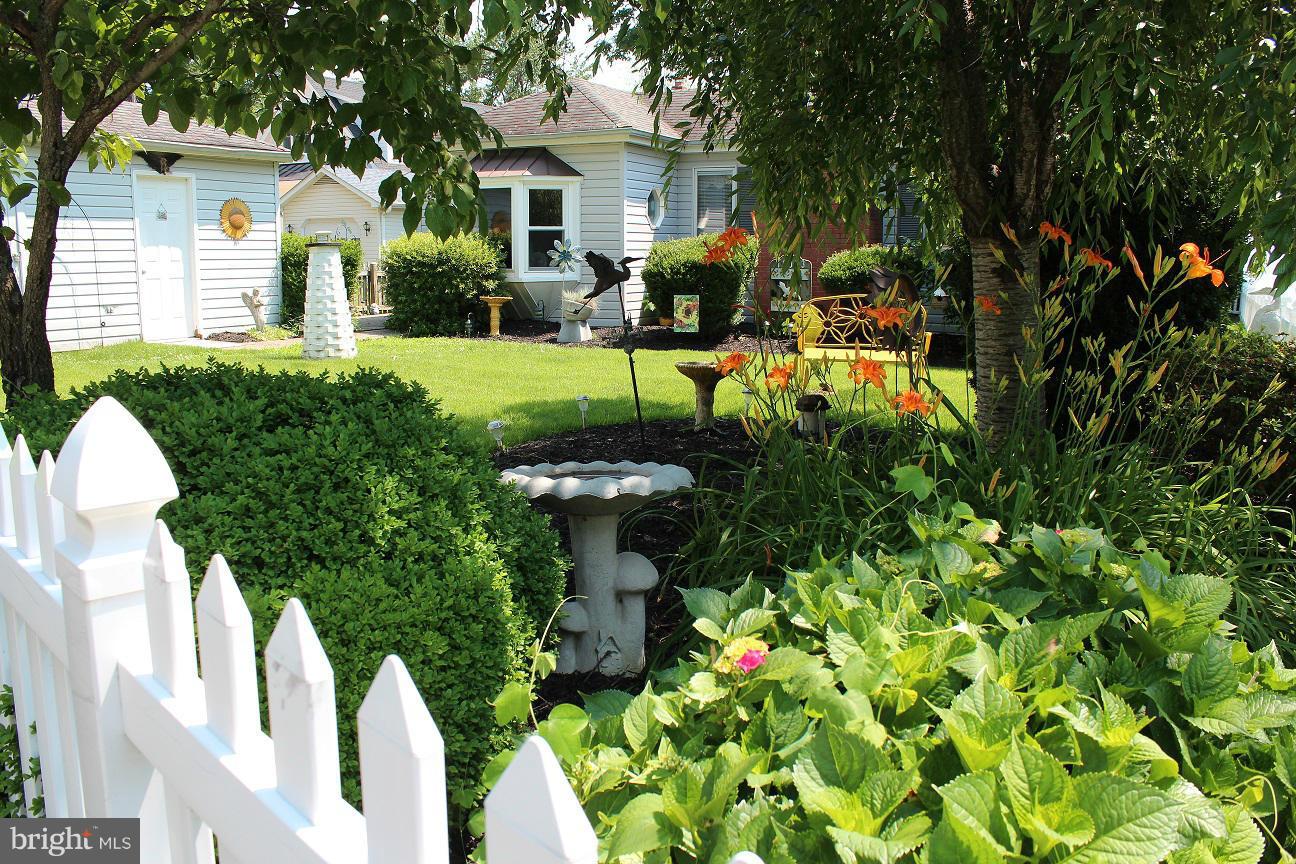 COBB ISLAND - Residential