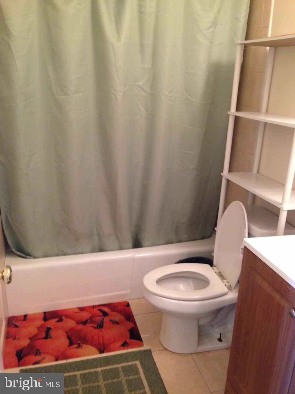 VILLAGES AT FALLS CHURCH - Residential