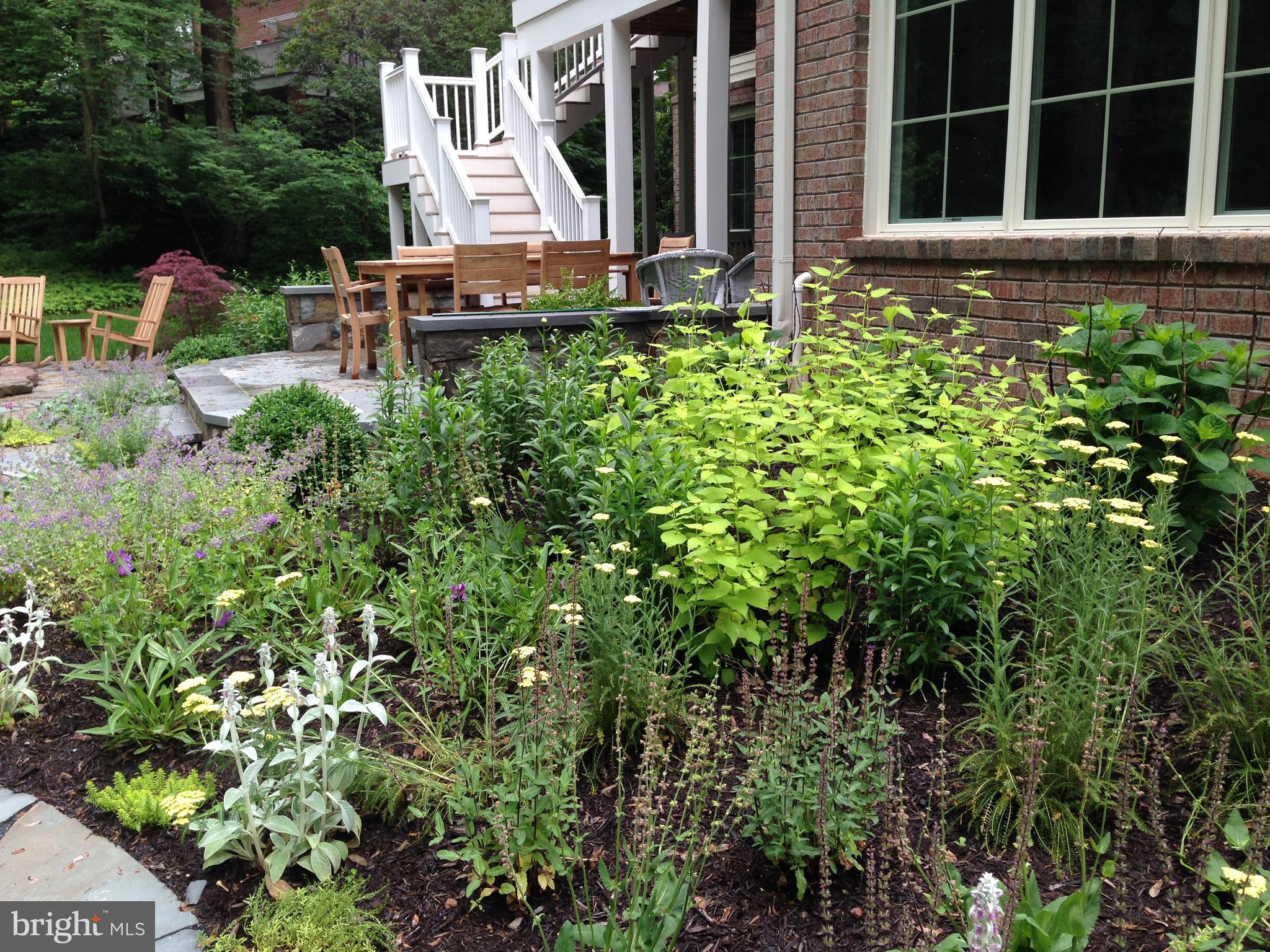 FOREST VILLA - Residential