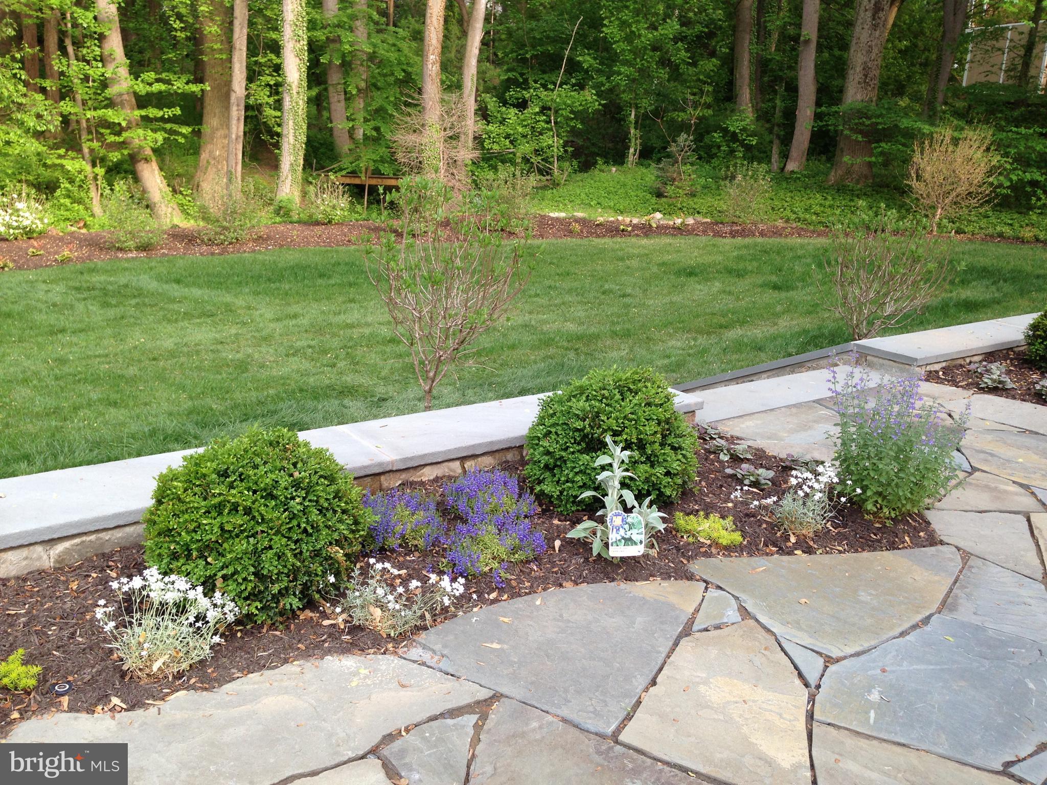 FOREST VILLA - Residential