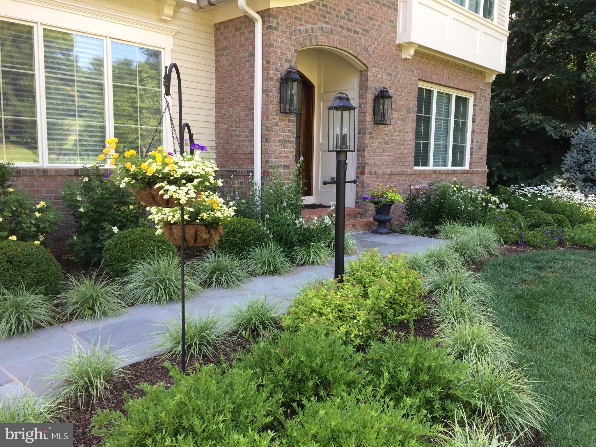 FOREST VILLA - Residential