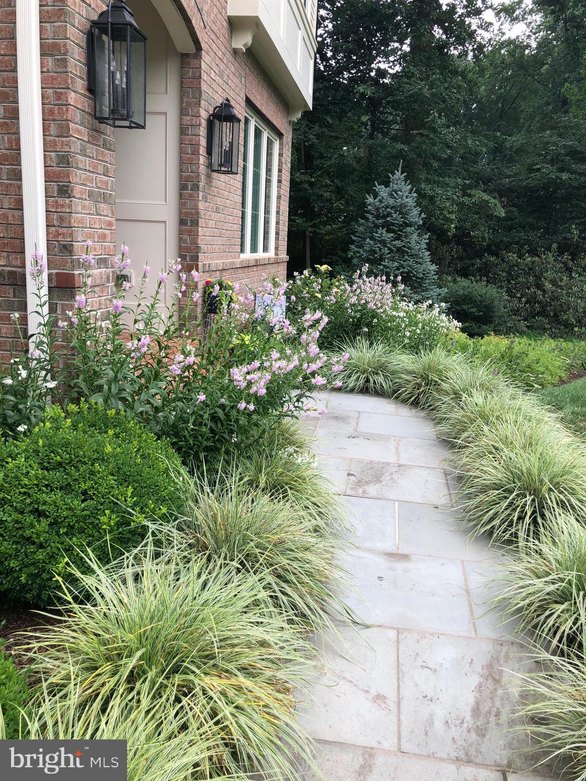 FOREST VILLA - Residential