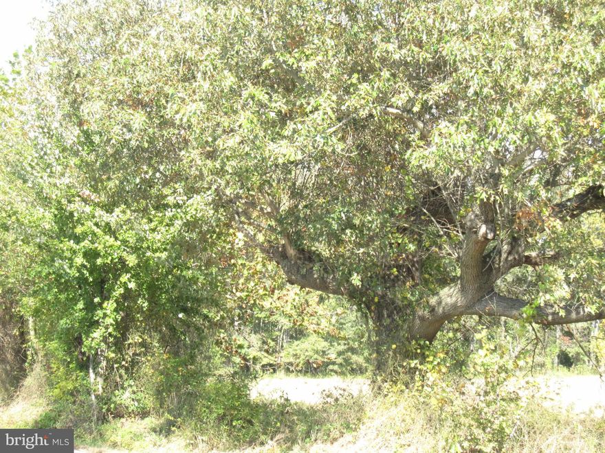 Picture your home set off the road, upon a knoll, surrounded by mature trees.  A tributary of Fridays Creek runs along the rear portion of the property. Private location, yet convenient to all shopping as well as an easy commute to the Metro area or Annapolis.Close to Northern Middle and Northern High Schools. Located in a picurtesque area of Northern Calvert County.