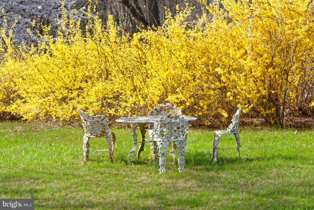 DELAPLANE MEADOWS - Residential