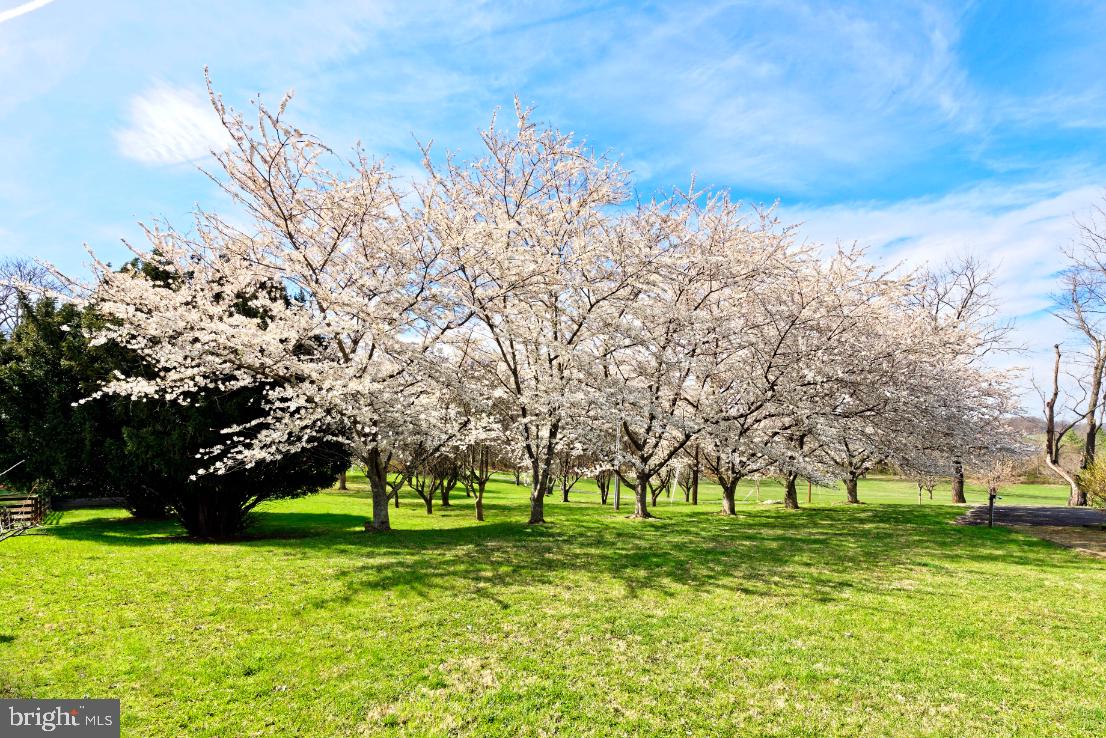 DELAPLANE MEADOWS - Residential