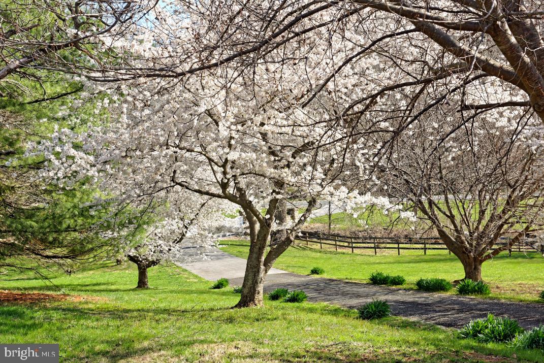 DELAPLANE MEADOWS - Residential