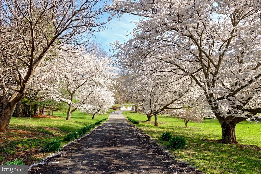 DELAPLANE MEADOWS - Residential