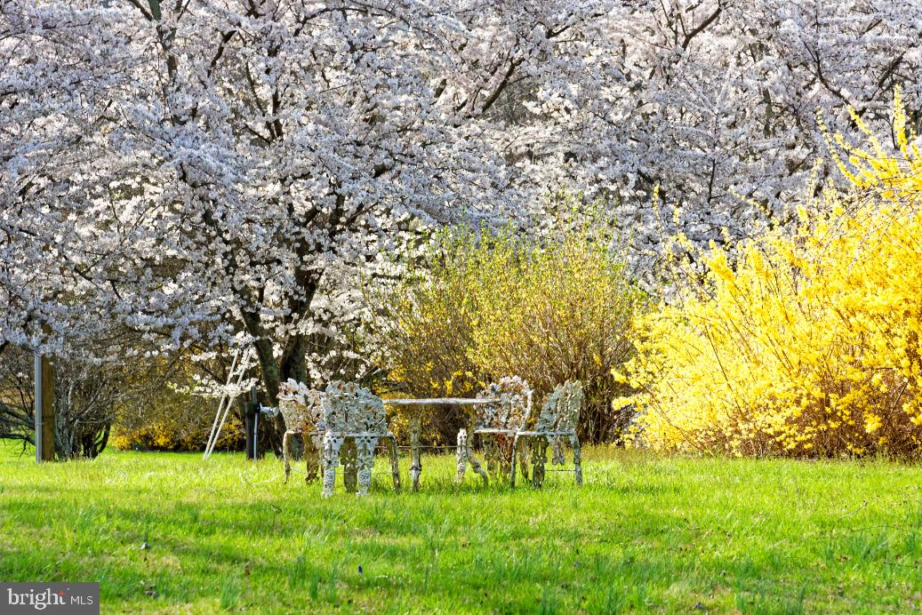 DELAPLANE MEADOWS - Residential