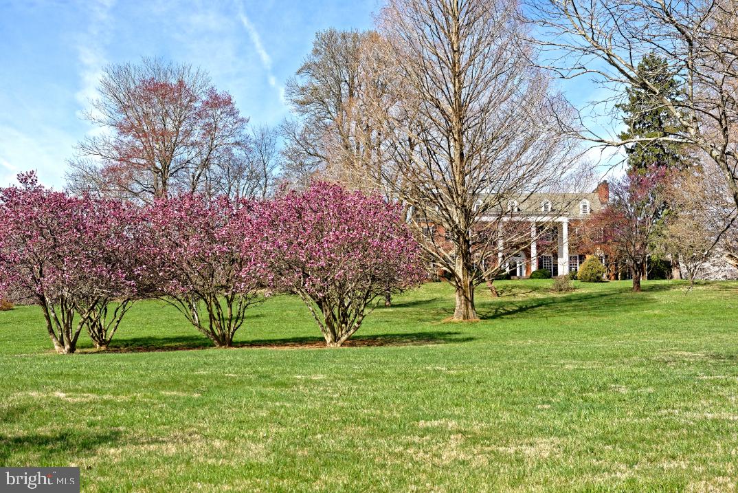 DELAPLANE MEADOWS - Residential