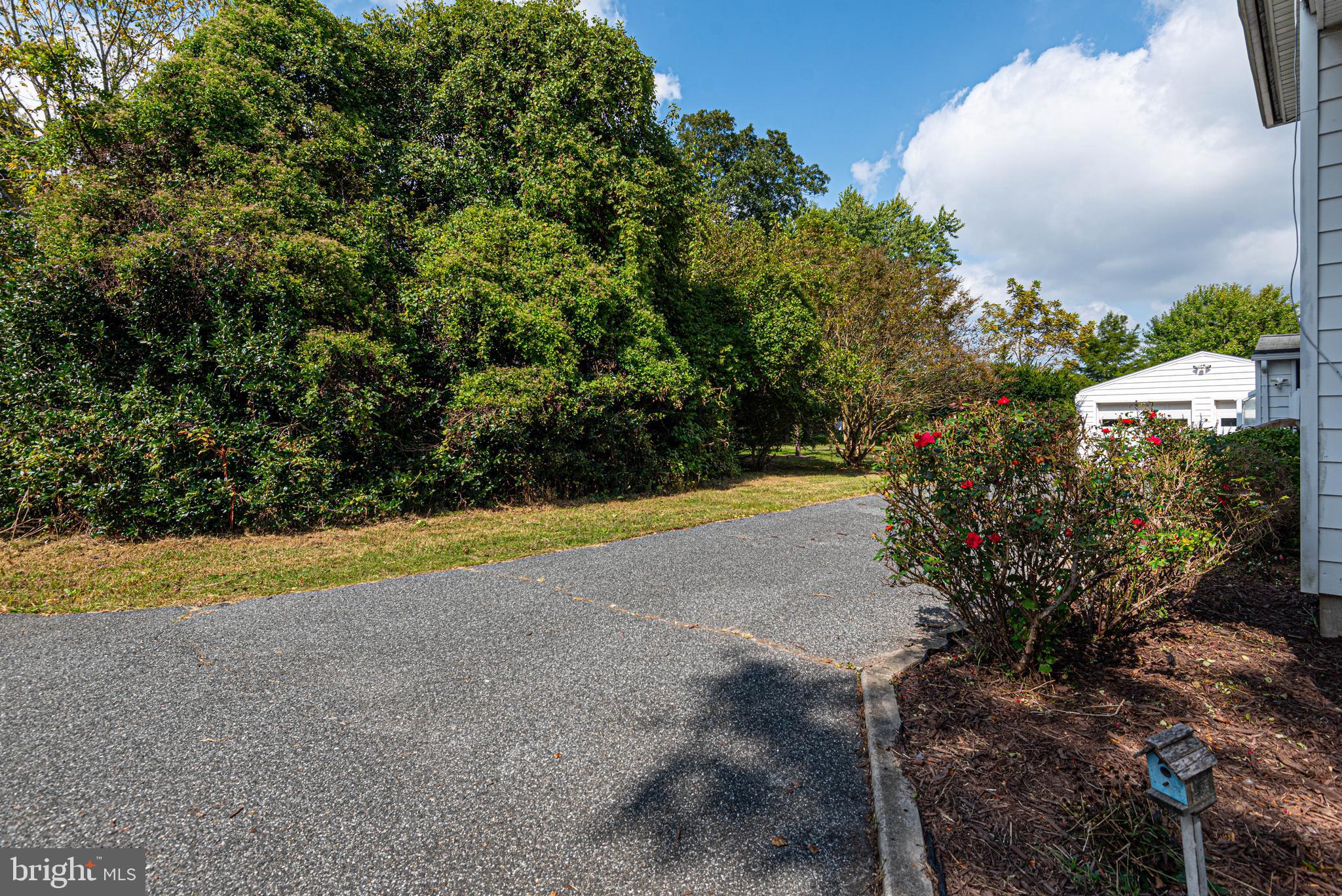 NON DEVELOPMENT - Residential