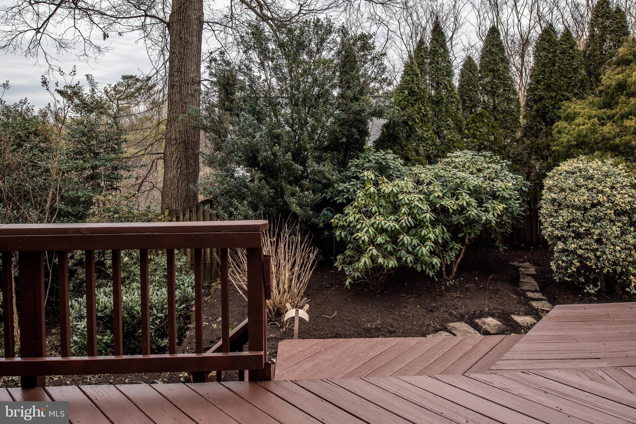 THE DOGWOODS AT LANGLEY - Residential