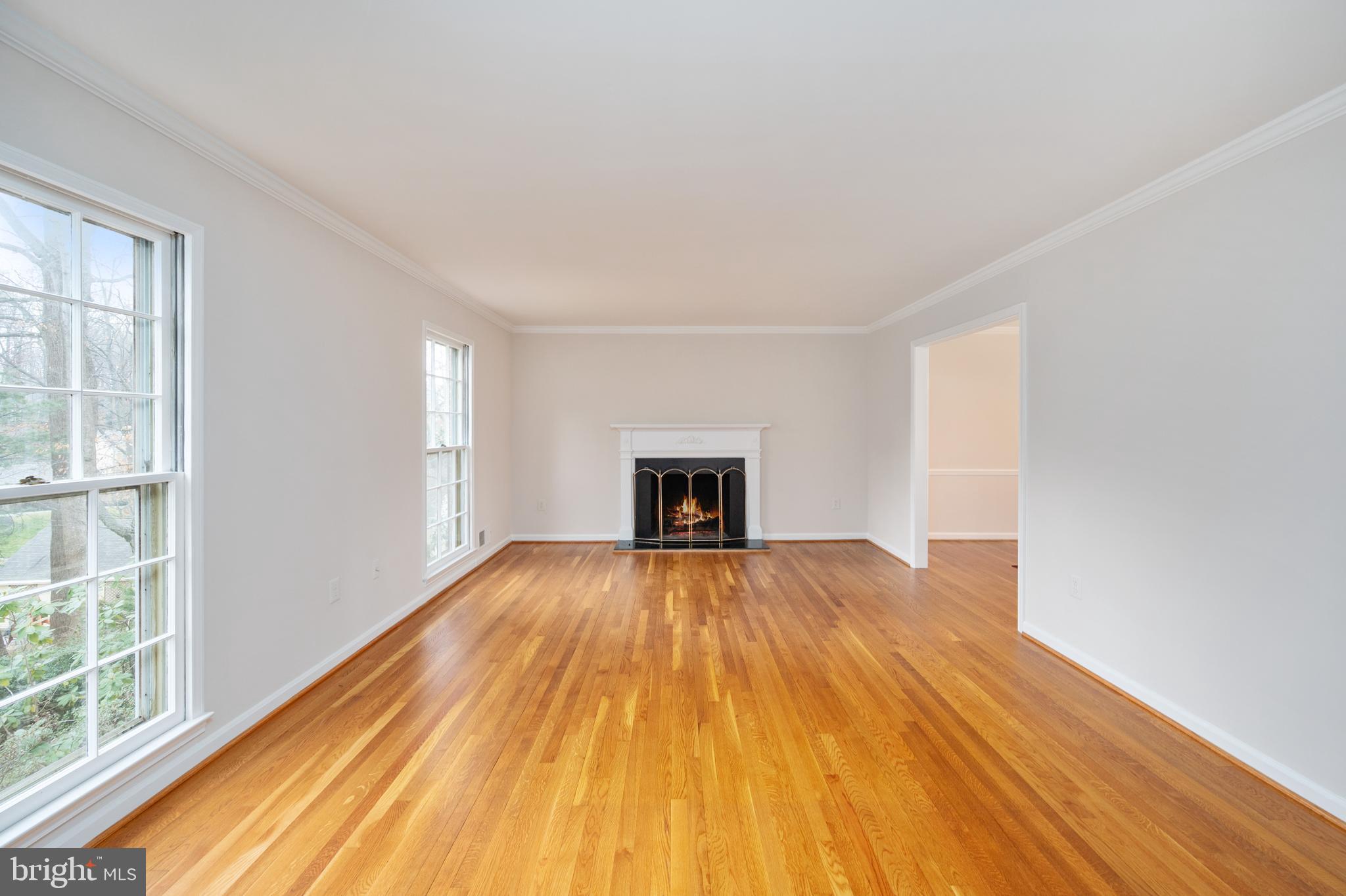 THE DOGWOODS AT LANGLEY - Residential