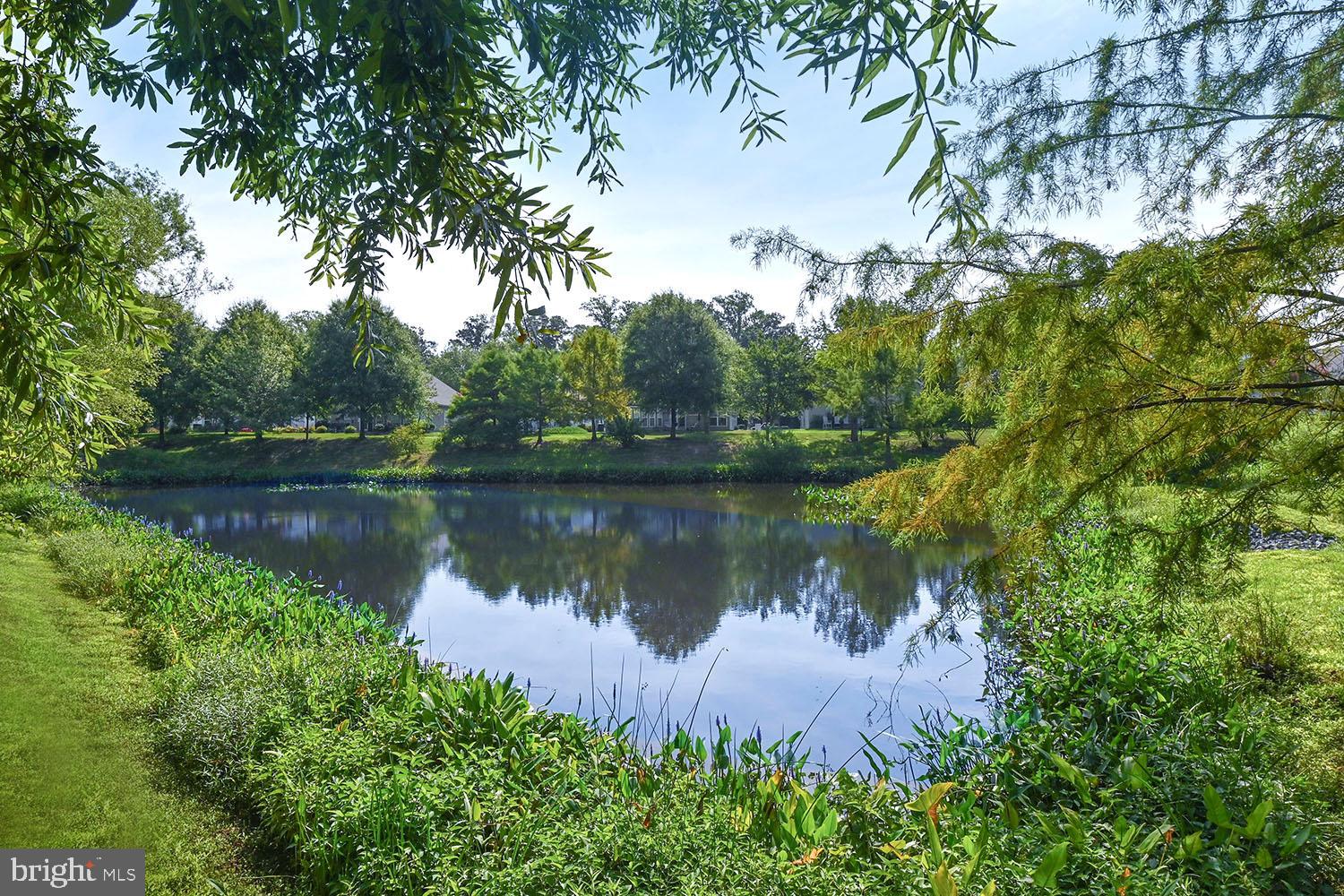 SYMPHONY VILLAGE AT CENTREVILLE - Residential