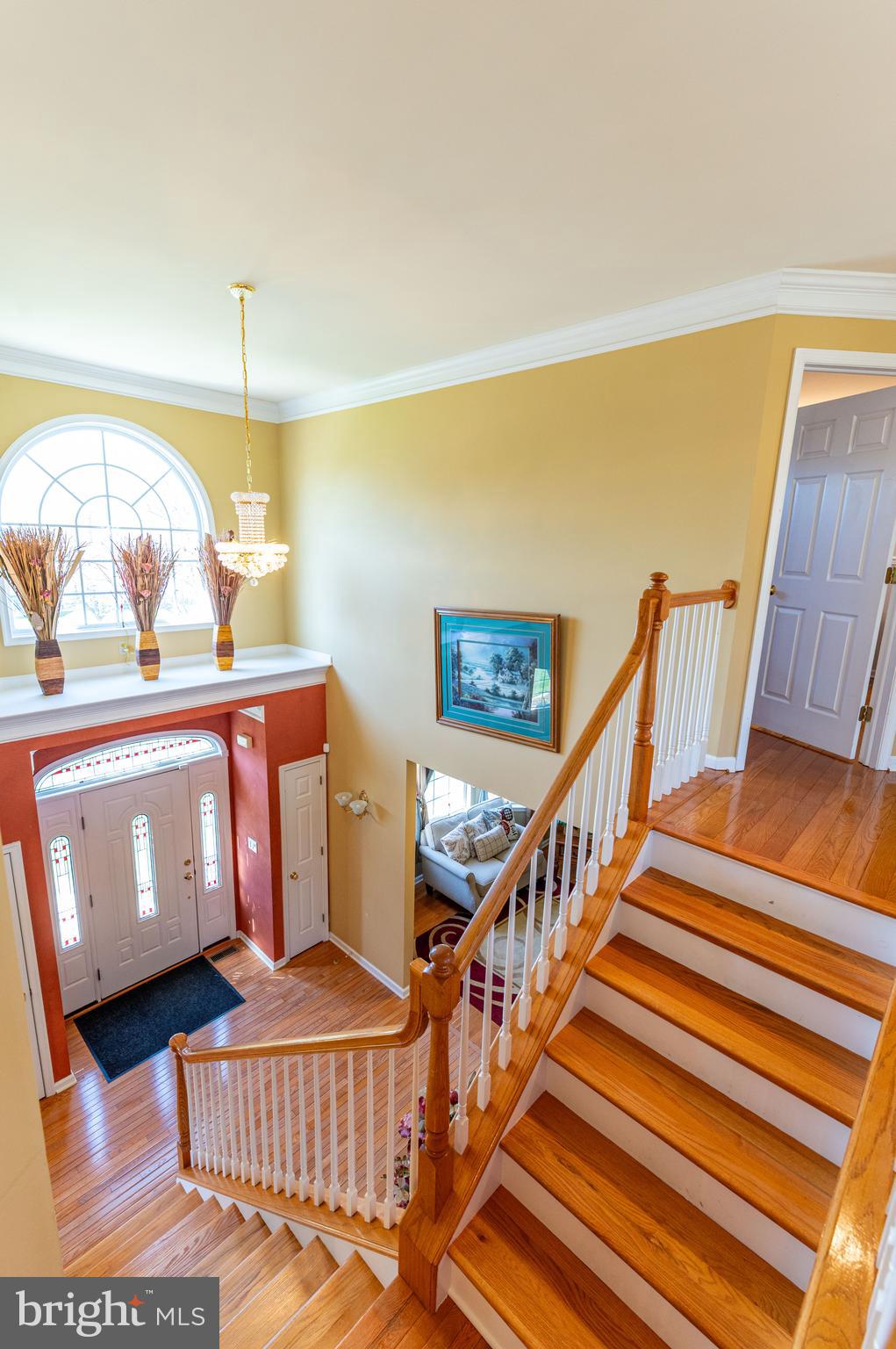 LAFAYETTE MEADOWS - Residential