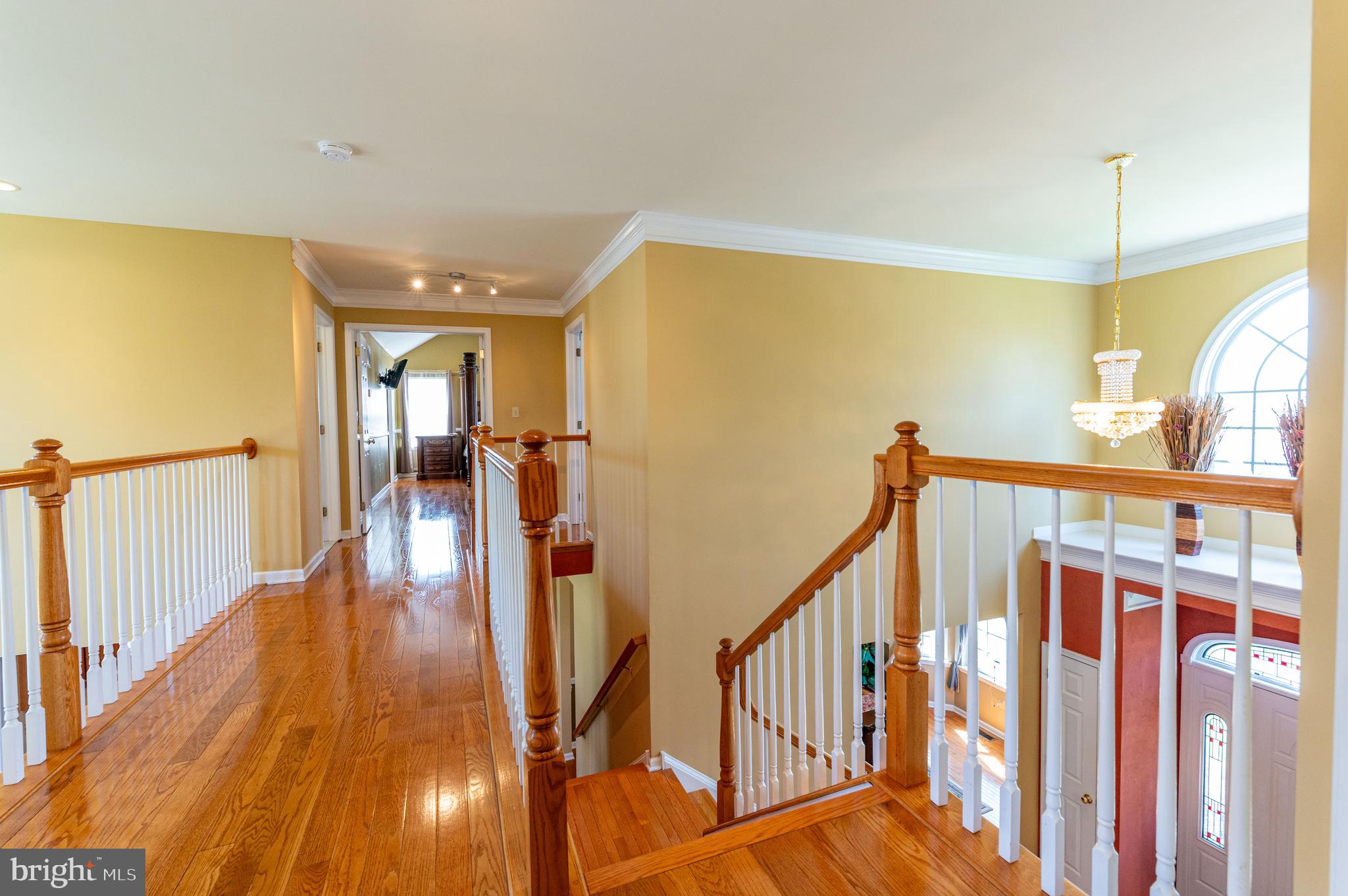 LAFAYETTE MEADOWS - Residential