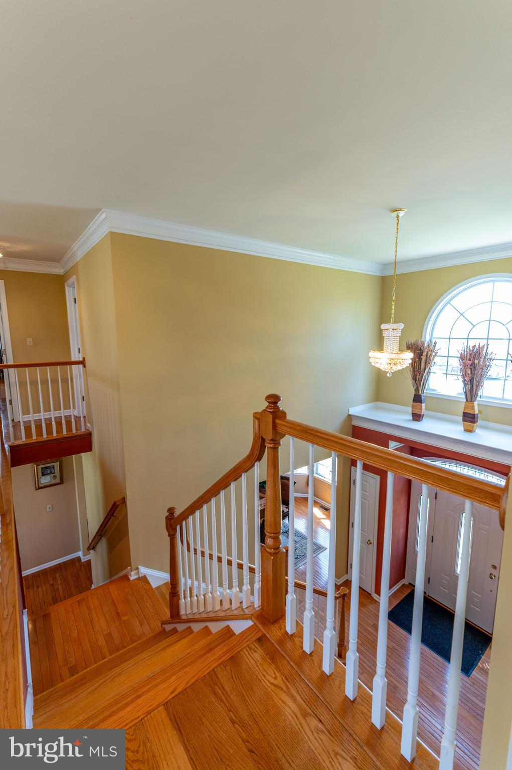 LAFAYETTE MEADOWS - Residential