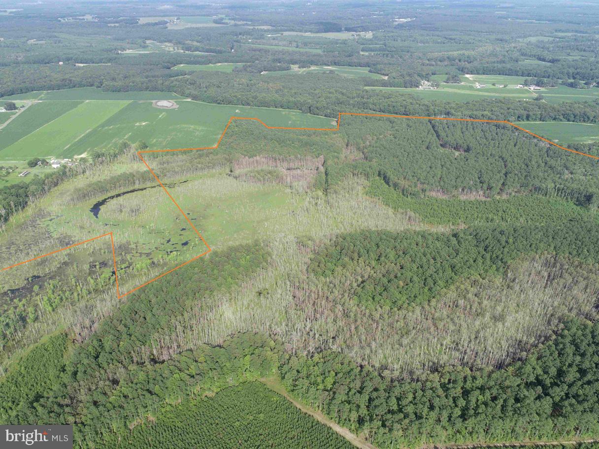 BLACK CREEK ROAD (TRACT: CHESAPEAKE SURRY GRIFFIN)