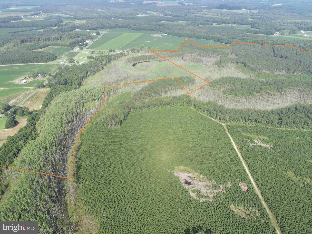 BLACK CREEK ROAD (TRACT: CHESAPEAKE SURRY GRIFFIN)