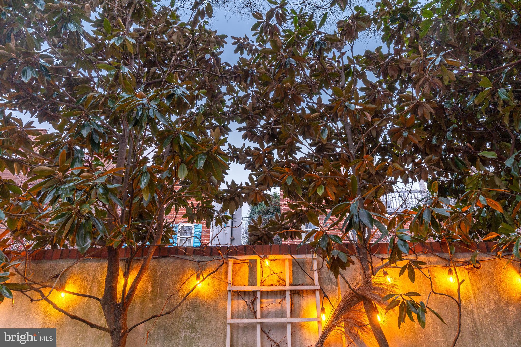 QUEEN VILLAGE - Residential