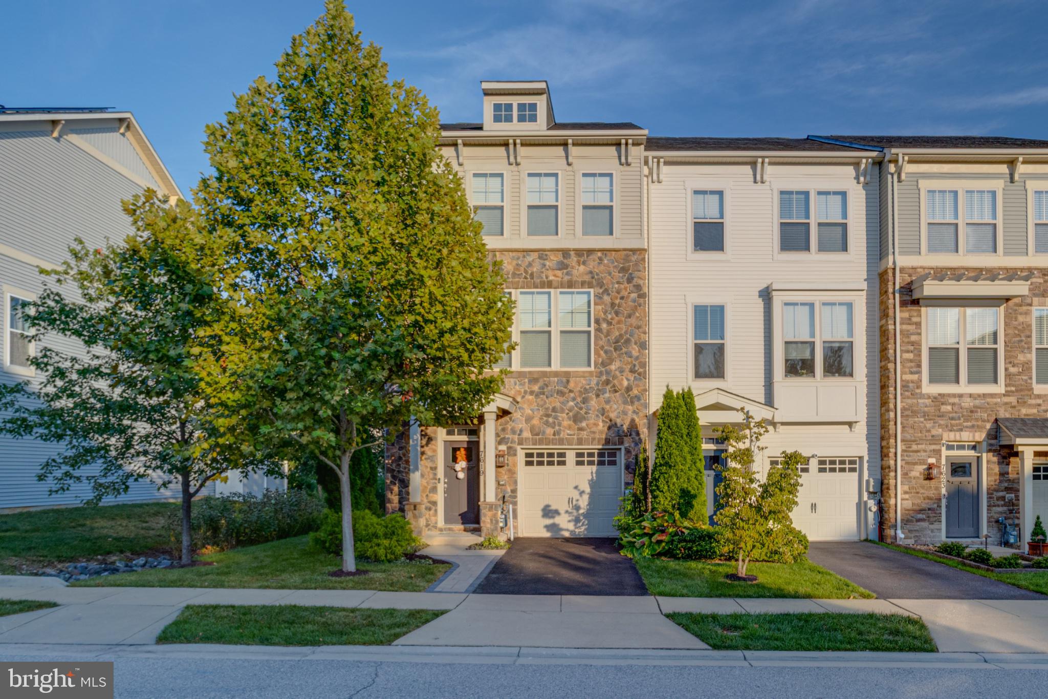 7619 LYNDON COURT