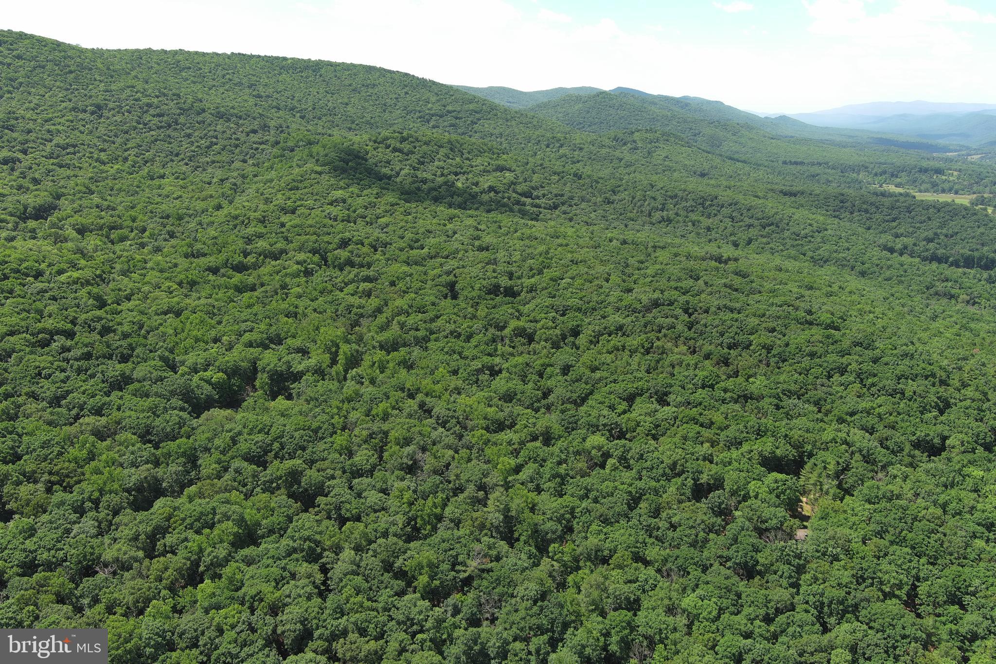 COVE MOUNTAIN ESTATES - Land