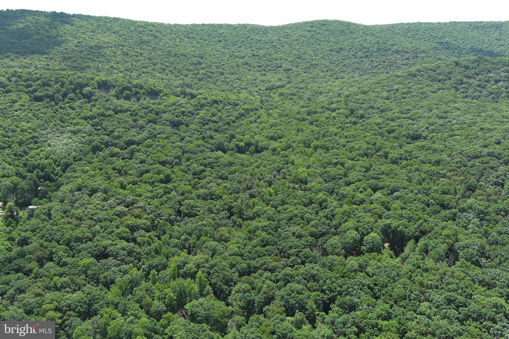 COVE MOUNTAIN ESTATES - Land